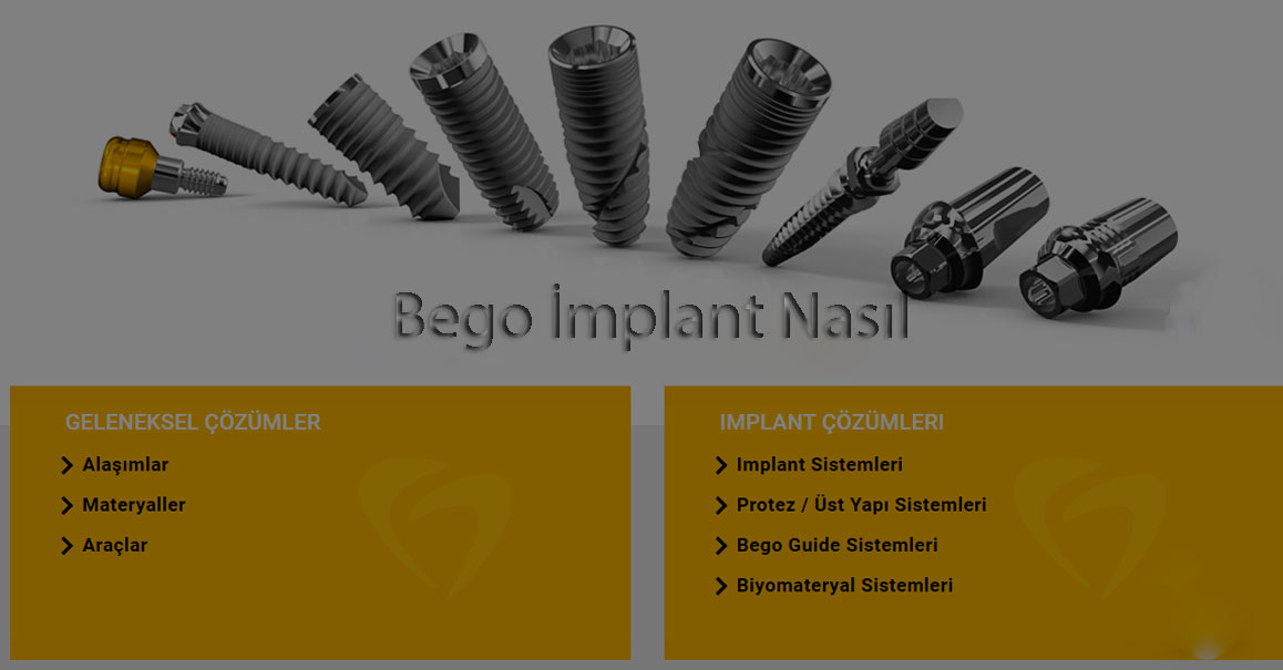 Bego implant